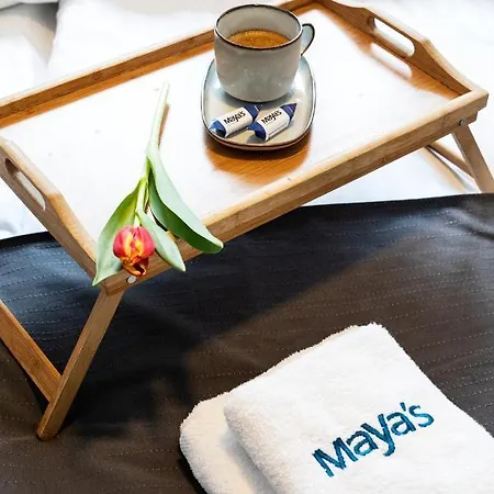 Maya's Flats & 39 - Walowa 25 Apartamento